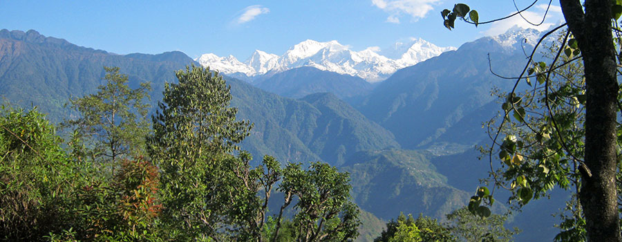 Discover Sikkim Safari Tour