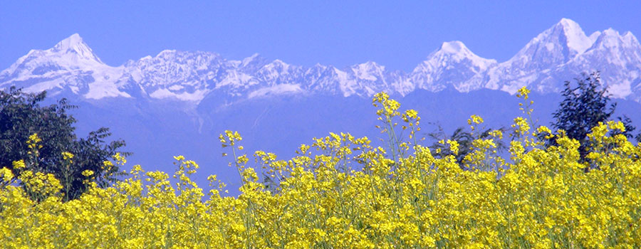 Sundarijal Chisapani  Nagarkot Hiking