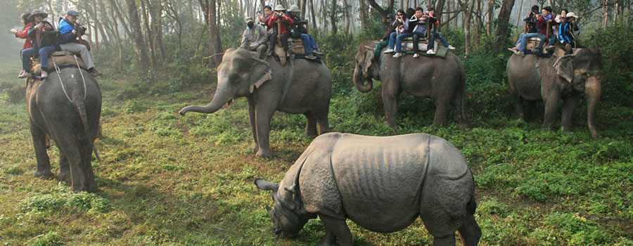 Kathmandu - Chitwan - Pokhara