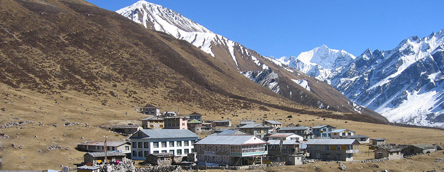 Langtang Trekking